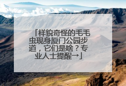 样貌奇怪的毛毛虫现身厦门公园步道，它们是啥？专业人士提醒→