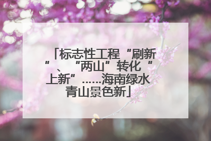 标志性工程“刷新”、“两山”转化“上新”……海南绿水青山景色新
