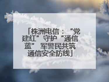 株洲电信：“党建红”守护“通信蓝” 军警民共筑通信安全防线