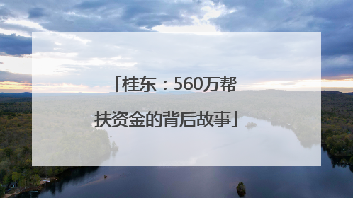 桂东：560万帮扶资金的背后故事