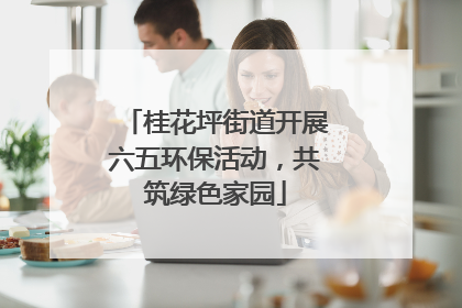 桂花坪街道开展六五环保活动，共筑绿色家园