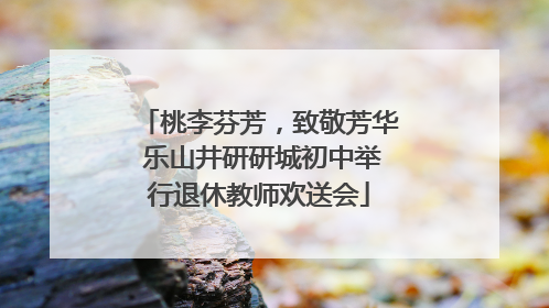 桃李芬芳，致敬芳华 乐山井研研城初中举行退休教师欢送会