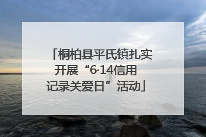 桐柏县平氏镇扎实开展“6·14信用记录关爱日”活动