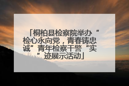 桐柏县检察院举办“检心永向党，青春铸忠诚”青年检察干警“实”迹展示活动