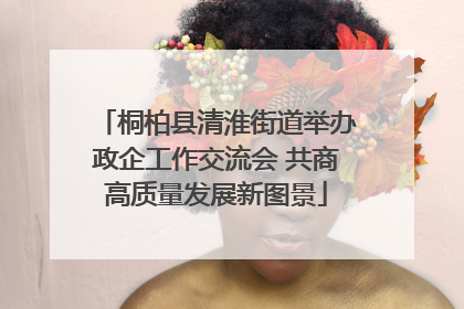 桐柏县清淮街道举办政企工作交流会 共商高质量发展新图景