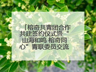 榕奇共青团合作共建签约仪式暨“山海和鸣 榕奇同心”青联委员交流交往交融活动在福州举行