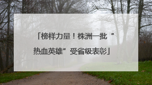 榜样力量！株洲一批“热血英雄”受省级表彰