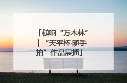 槌响“万木林”｜“天平杯·随手拍”作品展播