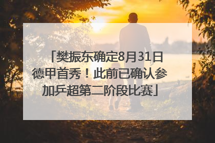 樊振东确定8月31日德甲首秀！此前已确认参加乒超第二阶段比赛