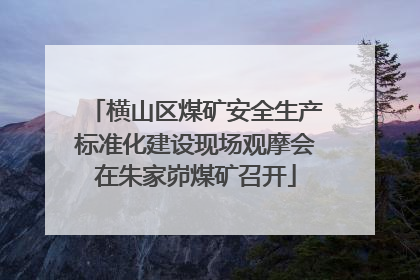 横山区煤矿安全生产标准化建设现场观摩会在朱家峁煤矿召开
