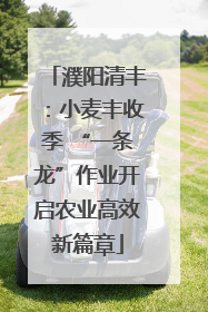 濮阳清丰：小麦丰收季 “一条龙”作业开启农业高效新篇章