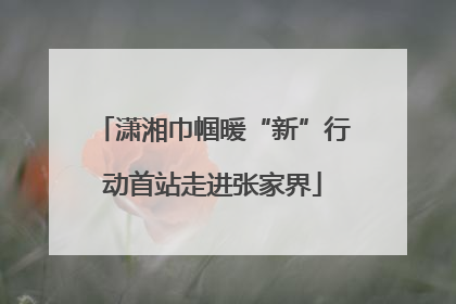 潇湘巾帼暖“新”行动首站走进张家界