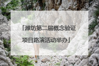 潍坊第二届概念验证项目路演活动举办