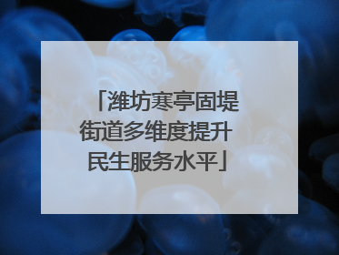 潍坊寒亭固堤街道多维度提升民生服务水平