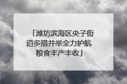 潍坊滨海区央子街道多措并举全力护航粮食丰产丰收