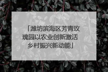 潍坊滨海区芳青玫瑰园以农业创新激活乡村振兴新动能