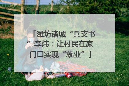 潍坊诸城“兵支书”李炜：让村民在家门口实现“就业”