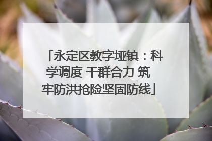 永定区教字垭镇：科学调度 干群合力 筑牢防洪抢险坚固防线