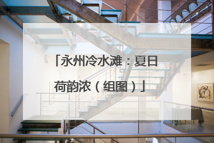 永州冷水滩：夏日荷韵浓（组图）