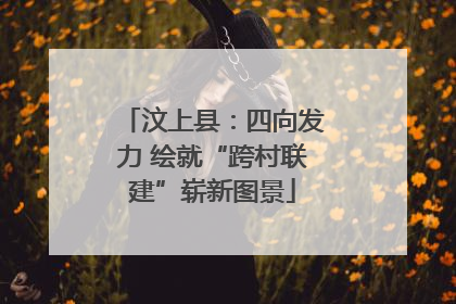 汶上县：四向发力 绘就“跨村联建”崭新图景