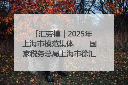 汇劳模｜2025年上海市模范集体——国家税务总局上海市徐汇区税务局第一税务所