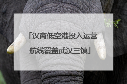 汉商低空港投入运营 航线覆盖武汉三镇
