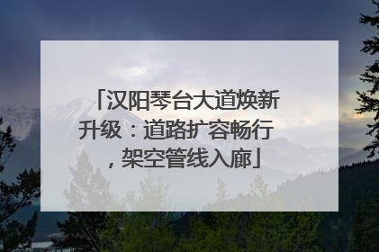 汉阳琴台大道焕新升级：道路扩容畅行，架空管线入廊