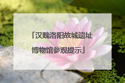 汉魏洛阳故城遗址博物馆参观提示