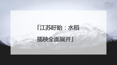 江苏盱眙：水稻插秧全面展开