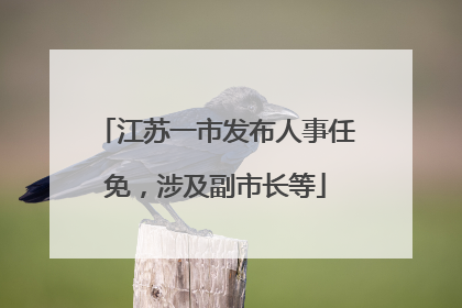 江苏一市发布人事任免，涉及副市长等