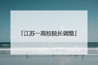 江苏一高校院长调整