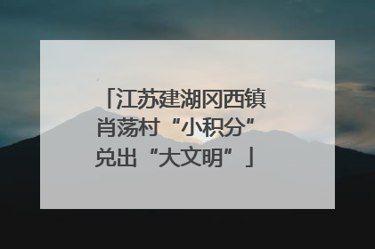 江苏建湖冈西镇肖荡村“小积分”兑出“大文明”