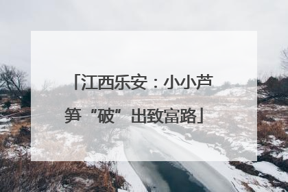 江西乐安：小小芦笋“破”出致富路