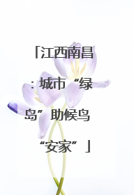 江西南昌：城市“绿岛”助候鸟“安家”