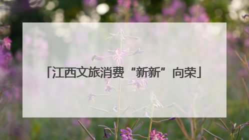 江西文旅消费“新新”向荣