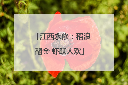江西永修：稻浪翻金 虾跃人欢