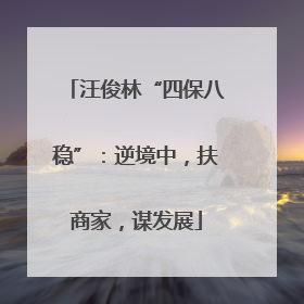 汪俊林“四保八稳”：逆境中，扶商家，谋发展