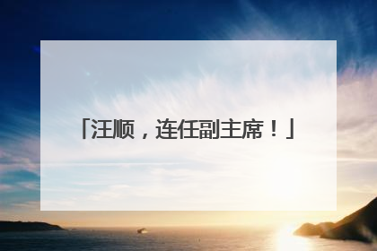 汪顺，连任副主席！