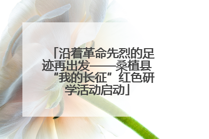 沿着革命先烈的足迹再出发——桑植县“我的长征”红色研学活动启动