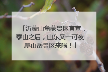 沂蒙山龟蒙景区官宣，泰山之后，山东又一可夜爬山岳景区来啦！