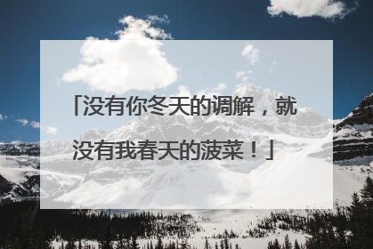 没有你冬天的调解，就没有我春天的菠菜！