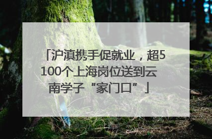 沪滇携手促就业，超5100个上海岗位送到云南学子“家门口”