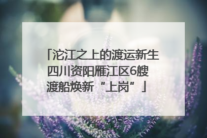 沱江之上的渡运新生 四川资阳雁江区6艘渡船焕新“上岗”