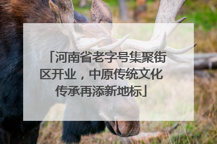 河南省老字号集聚街区开业，中原传统文化传承再添新地标