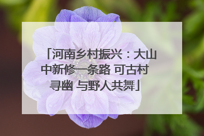 河南乡村振兴：大山中新修一条路 可古村寻幽 与野人共舞