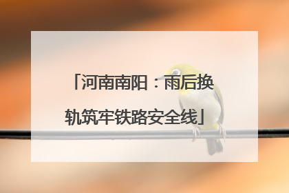 河南南阳：雨后换轨筑牢铁路安全线