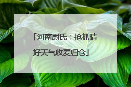 河南尉氏：抢抓晴好天气收麦归仓