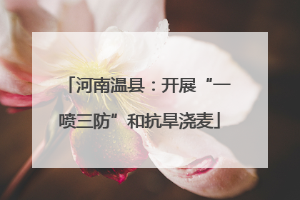 河南温县：开展“一喷三防”和抗旱浇麦