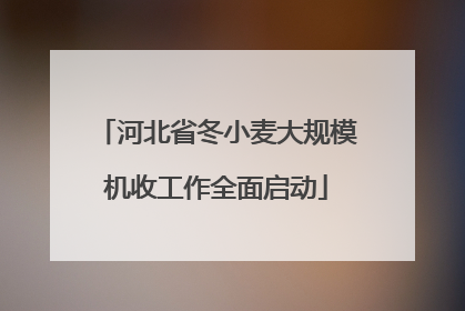 河北省冬小麦大规模机收工作全面启动