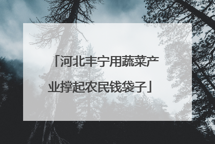 河北丰宁用蔬菜产业撑起农民钱袋子